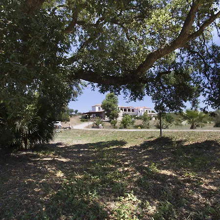 Bed & Breakfast Palmas Alghero