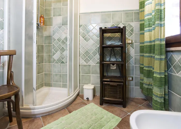 Palmas Αλγκέρο