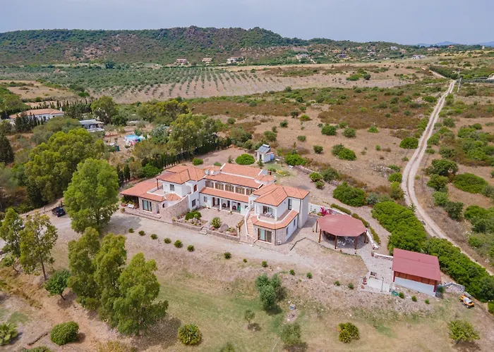 Palmas 3* Αλγκέρο