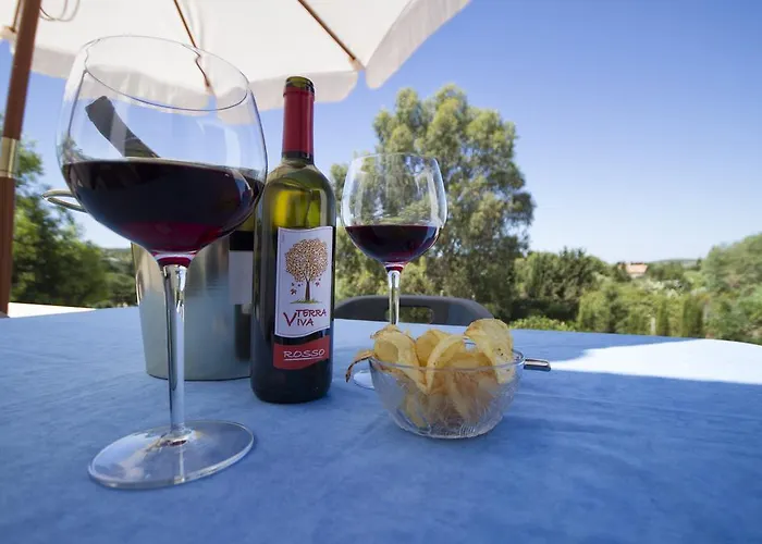 Bed and Breakfast Palmas Αλγκέρο